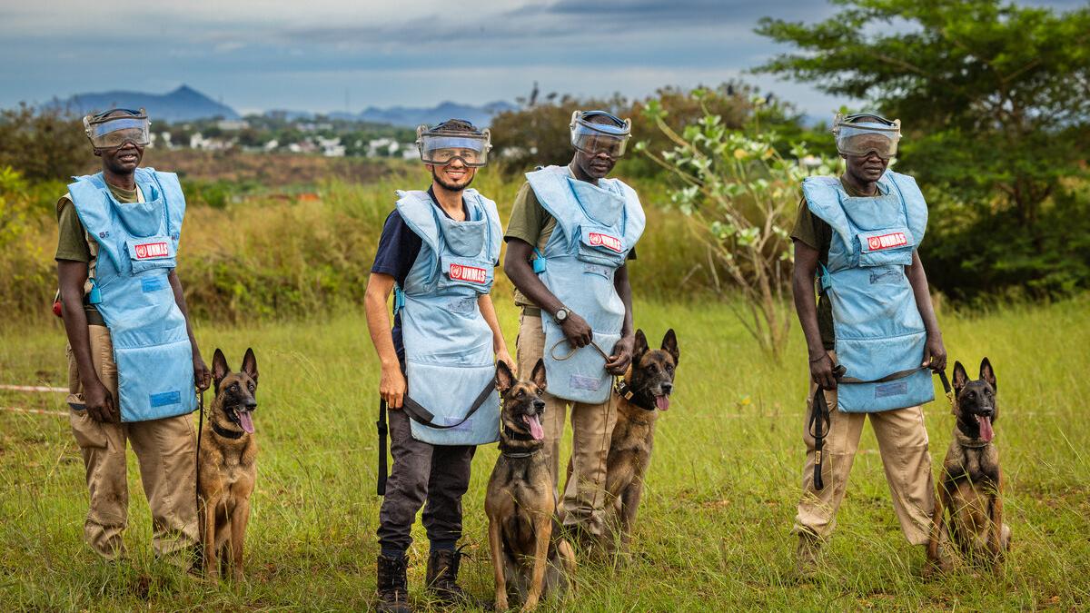 four deminers with the demining dogs standing on a grassland